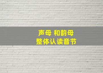 声母 和韵母 整体认读音节